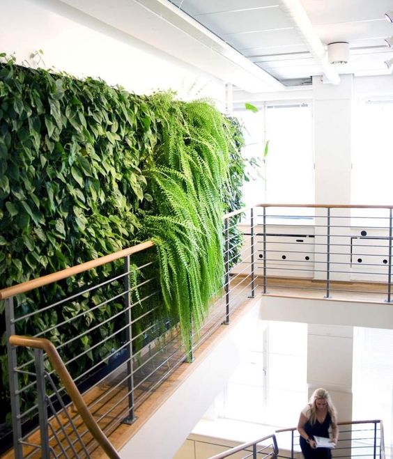 озеленение офиса
