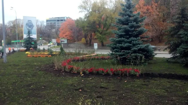 В Києві позеленіла ще одна площа — фото 2